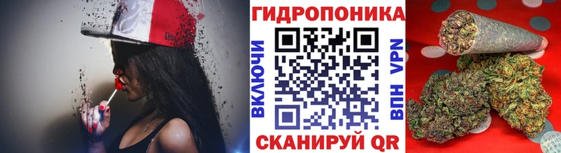 Бошки Шишки AK-47 Гаврилов Посад